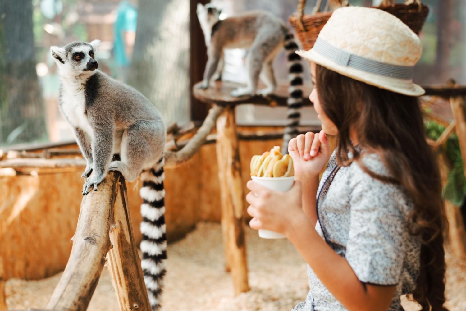 Fun childrens parties with a petting zoo